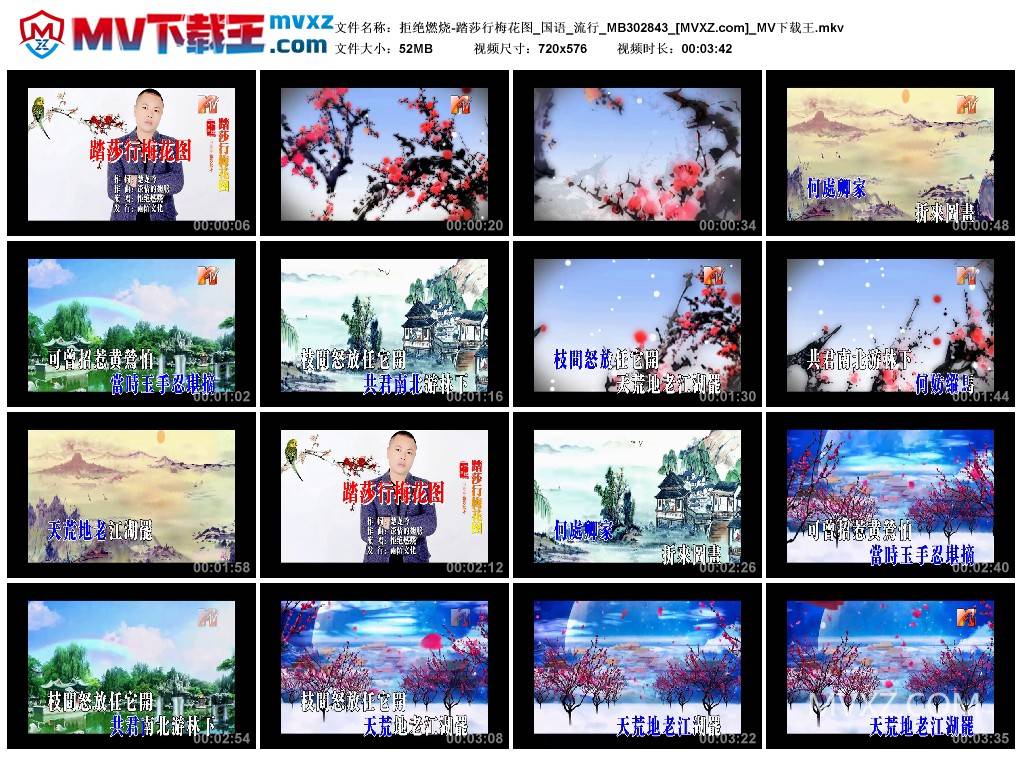 拒绝燃烧-踏莎行梅花图_国语_流行_MB302843
